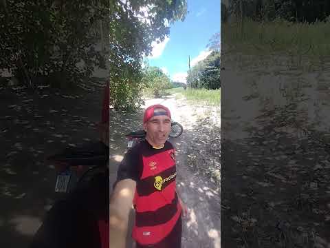 #nordeste / sítio brejinho / Quipapá / PE