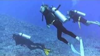 Cousteau dives with sharks and his new friend Moi