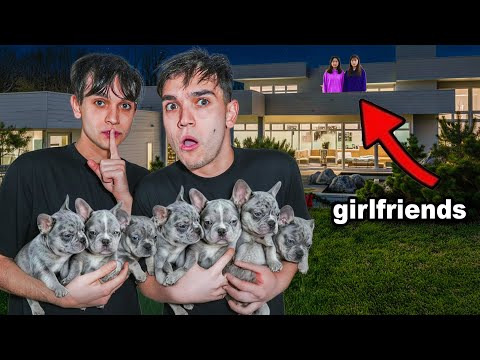 WE SNUCK OUT OUR PUPPIES AT 3AM! (CAUGHT)