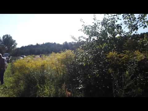 Pożar 31.08.2016 Dąbrowa Górnicza Zachodnia, Zakład Produkcyjny Doniczek i wyrobów plastikowych