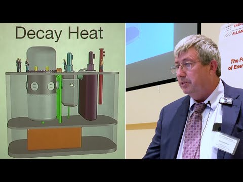Elysium Industries MCSFR (Molten Chloride Salt Fast Reactor) -  Ed Pheil @ TEAC10