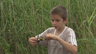 TERMÉSZETVÉDELEM HATÁROK NÉLKÜL - 29. adás