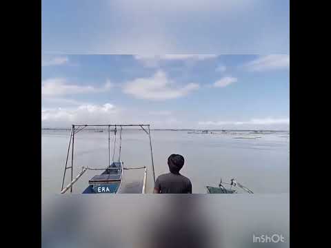 68.9mph equal to 110kph my DIY outrigger 2968 brushless motor 3400kv 4s 4200mah and 41mm propeller..