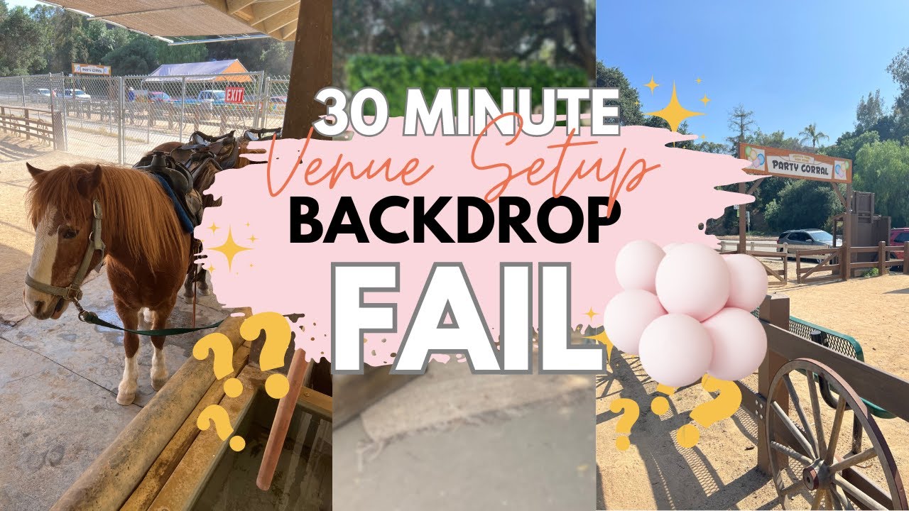 30 Min. Party Backdrop Setup at venue with - No Balloon Policy!