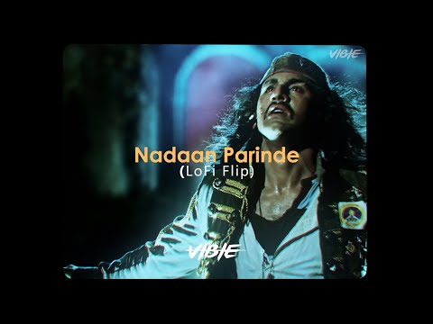 Nadaan Parindey  (Lofi Flip) - VIBIE | Mohit Chauhan | A.R Rahman