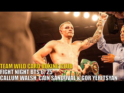 Team Wild Card Boxing - Callum Walsh, Cain Sandoval & Gor Yeritsyan Fight Night 6/22
