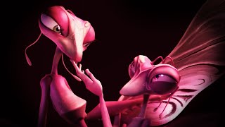 Mr & Mrs Mantis - The Animation School