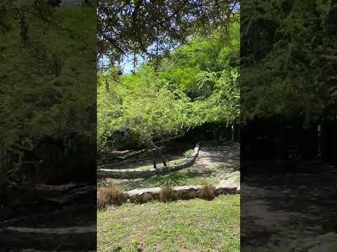 Nuestro Parque, Cabañas Villa Morena
