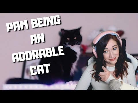 Pam being an adorable cat for 7 minutes