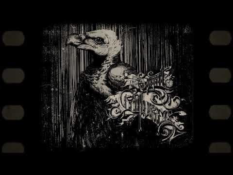 IN THE SIGHT OF VULTURES - THE CROW THE ROPE THE ROOTS