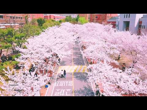 Keimyung University Spring YouTube Thumbnail