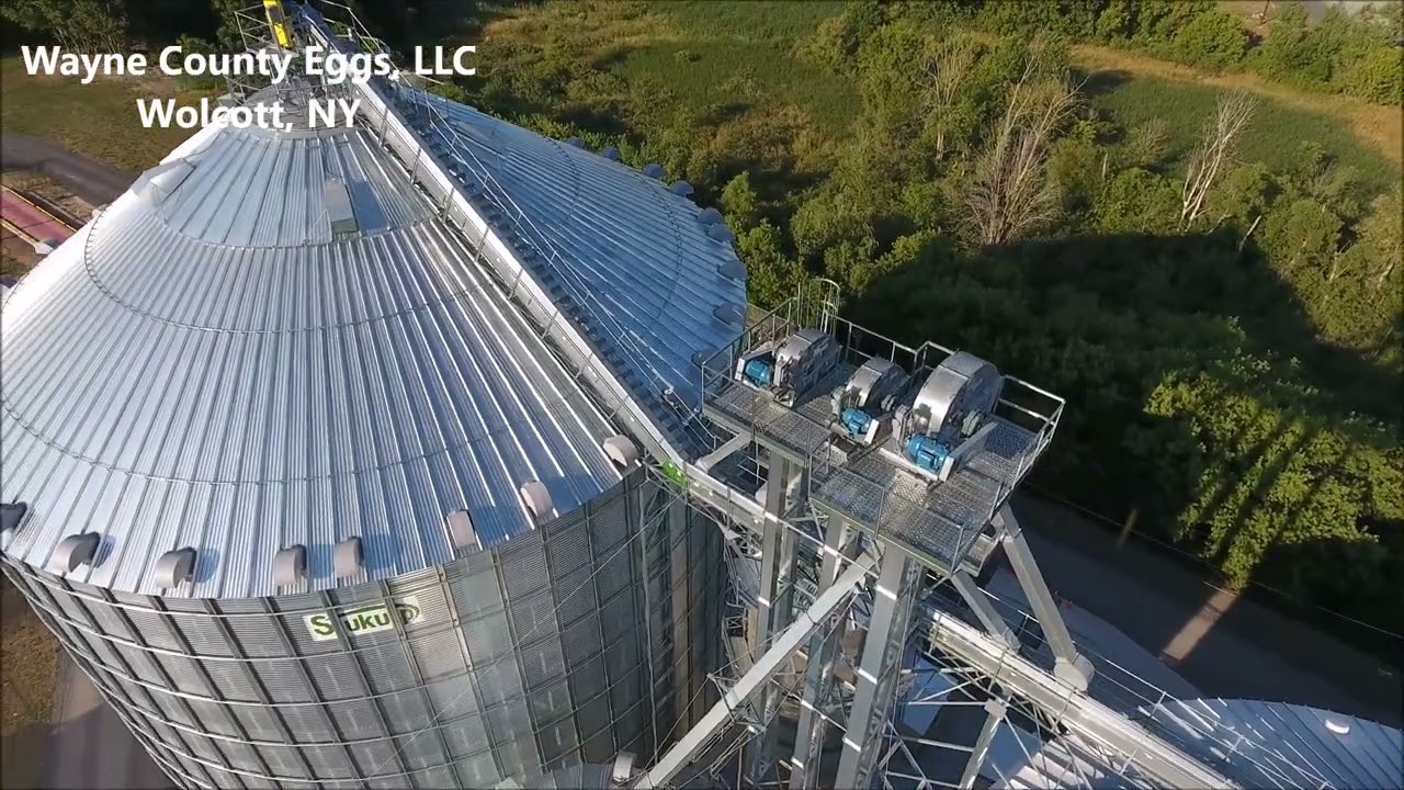 Thank You To Wayne County Eggs