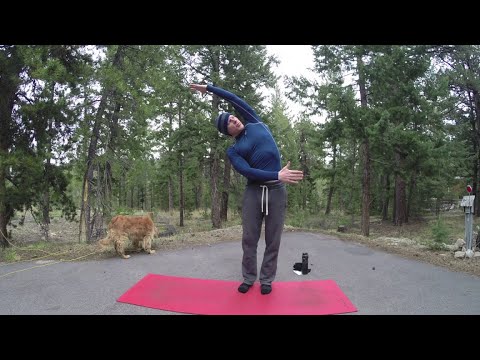 25 Min of Stretching Exercises w/ Sean Vigue - HASfit Yoga Stretches - Flexibility Exercises Routine