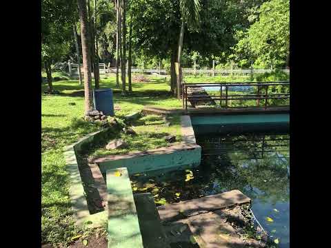 Las Picsinas de La Hacienda Nueva Concepcion Batres, Usulutan