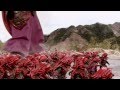 Power Rangers Clash Of The Red Rangers The Movie Available NOW