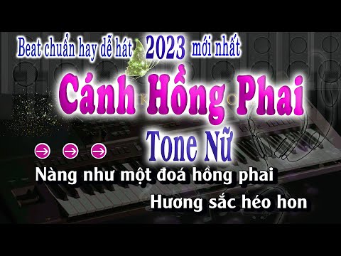 Cánh Hồng Phai Karaoke Tone Nữ Tiktok Karaoke