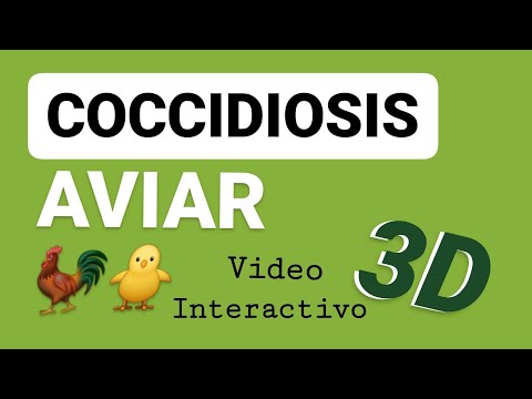 , title : 'Coccidiosis Aviar - Video 3D - Avicultura -Eimeria Ciclo Biológico - Tenella'