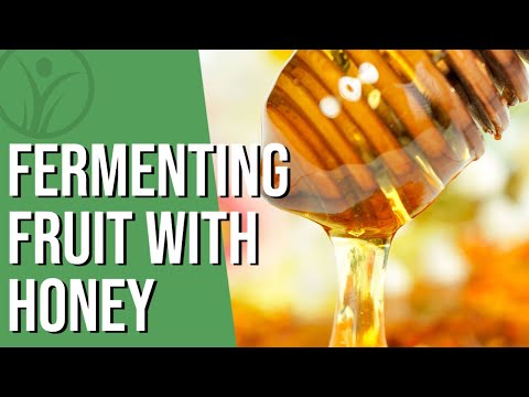 How to ferment fruit with honey | Natural Chef