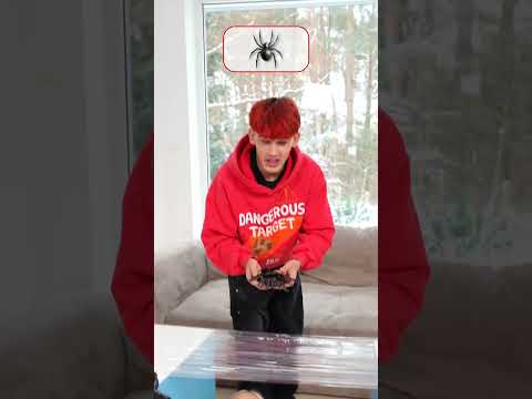 On musi je wystraszyć