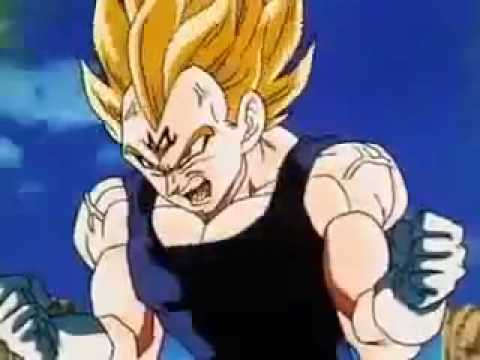 Vegeta's Saiyan's Pride