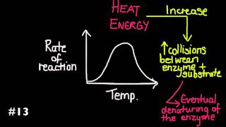 Mistakes to avoid on the IB Biology Exams! #1 - 25