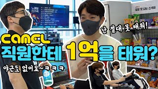 퀘이사존