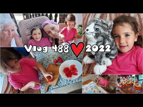 Vlog 488/22 - nejmilejší Anička a z5 na Sebuzíně