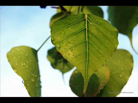 Sugatha thathagatha himi aparajitha - Yasapala Perera with Swarnalatha Kaveeshwara