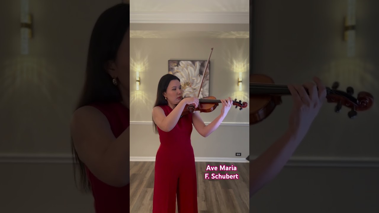 Promotional video thumbnail 11 for Alma Elegance Violin