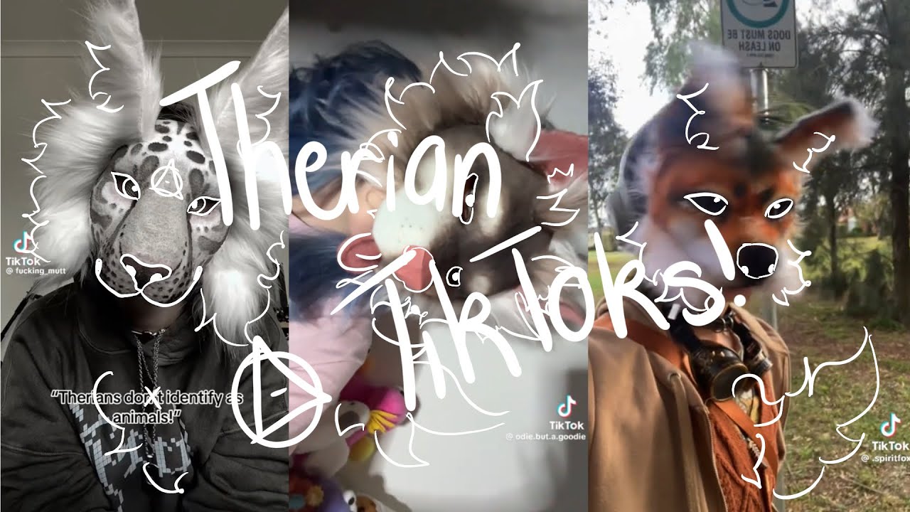 15 minutes of therian tiktoks! (compilation)