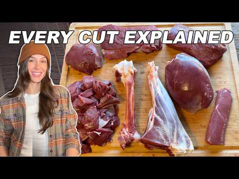 EXPLAINED: Every Cut from a Deer Hindquarter