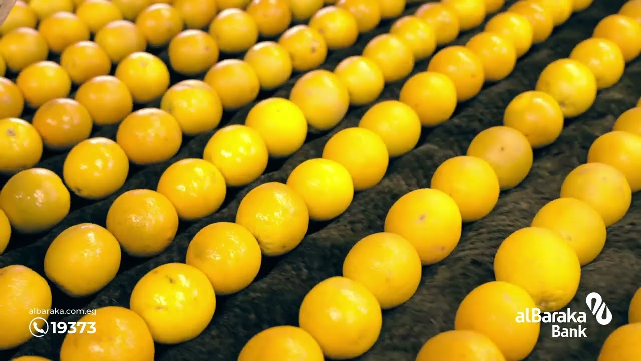 Frutella Factory – Al Baraka Bank Egypt Growth Stories