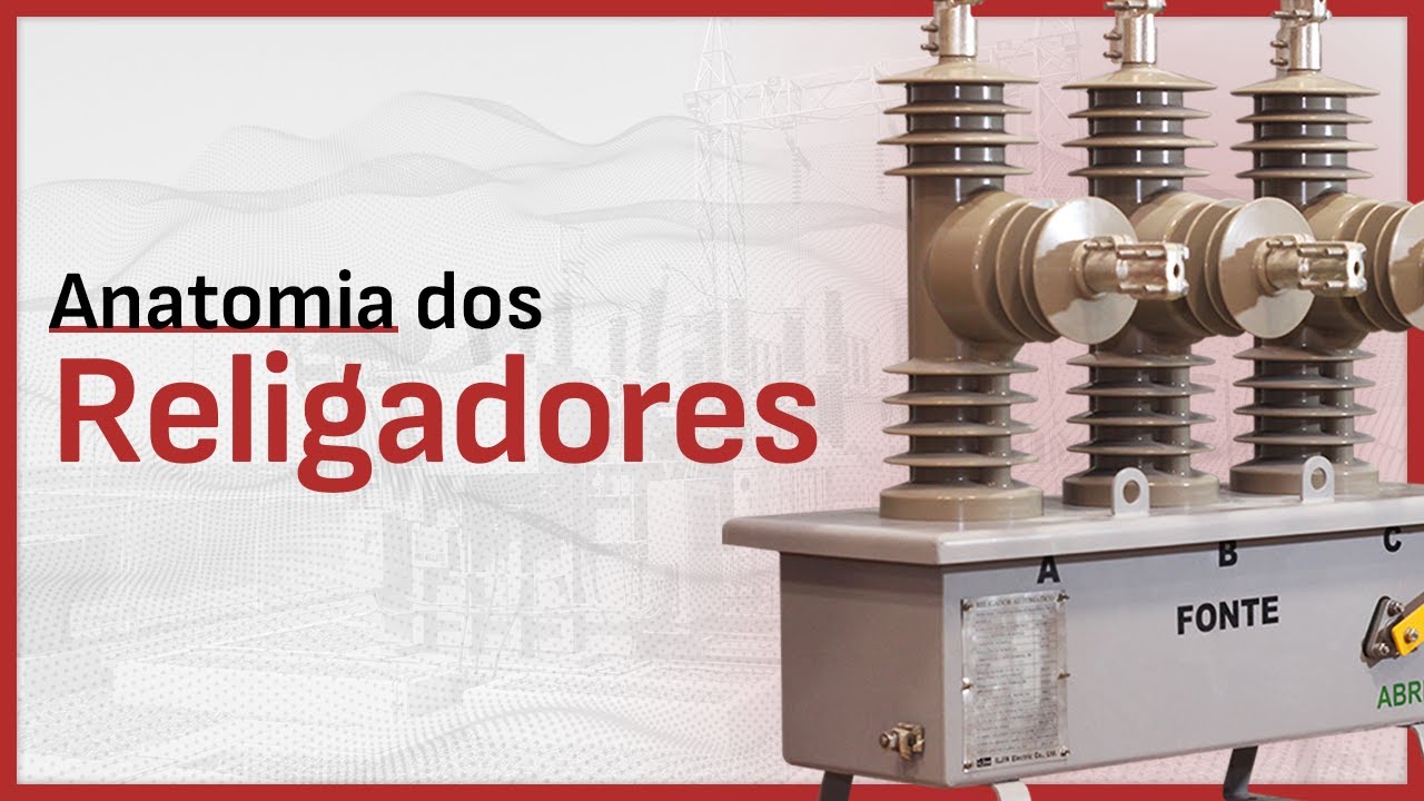 Anatomia dos Religadores