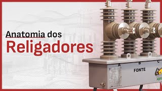 Anatomia dos Religadores