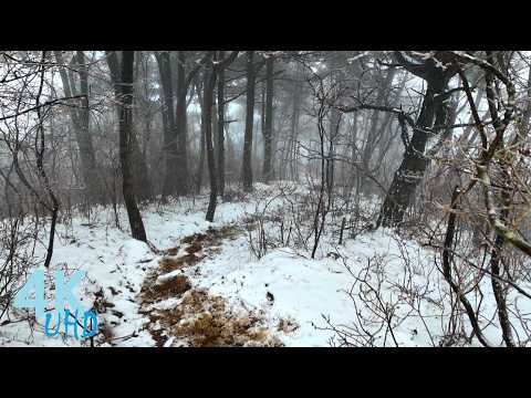 4K UHD Winter Hike through Snowy, Foggy Forest with Snow Crunch Sound – Scenic Trails of China