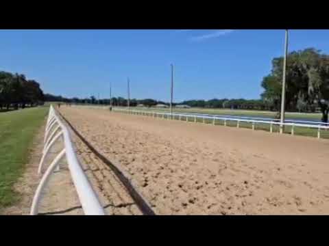 Dixieland Belle (More Than Ready - Dixie Serenade) May 2024