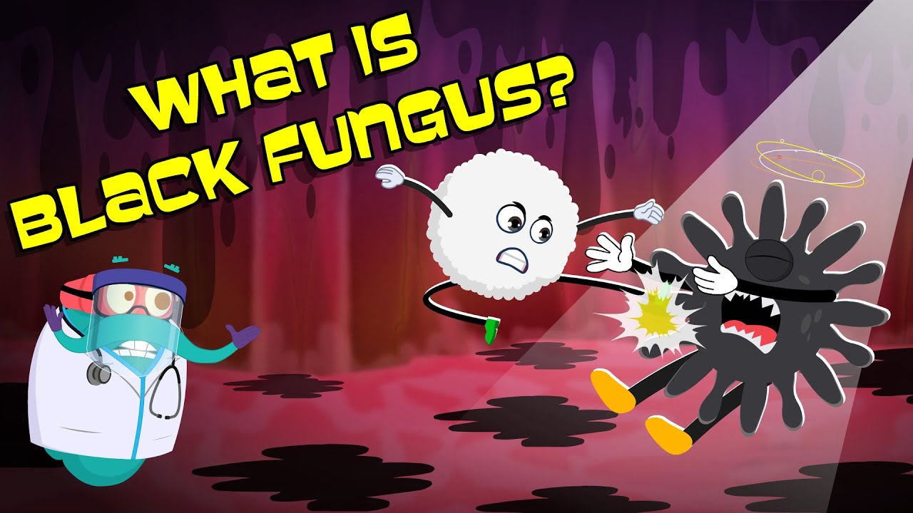 What Is Black Fungus? | Black Fungus Infection | The Dr Binocs Show | Peekaboo Kidz