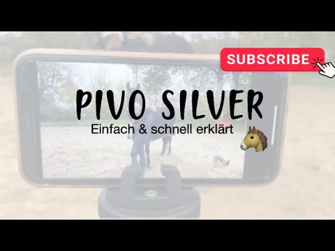 PIVO SILVER - Einfache Erklärung 🐴
