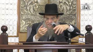 הגאון הגדול הרב יצחק ברדא שליט"א  - פרשת נצבים וילך