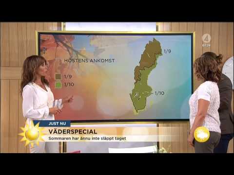 Väderspecial: "Sommaren är inte slut" - Nyhetsmorgon (TV4)