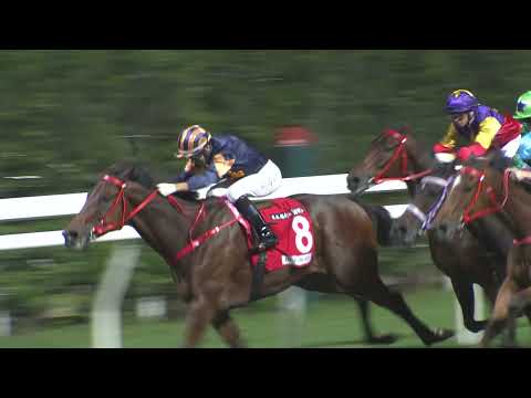 Hong Kong Race Replay | Happy Valley | November 10, 2021