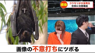 画像にツボるアナウンサー