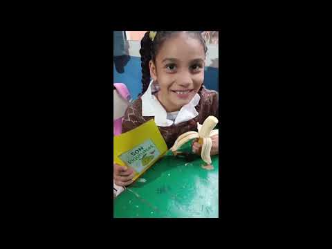 REVOLUCIÓN FRUTAL