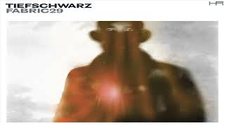 fabric 29 - Tiefchwarz (2006)