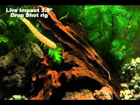 Силикон Keitech Live Impact 2.5" (12 шт/уп) к:101 green pumpkin pp - фото 2 - id-p2807795785