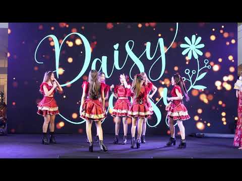 C0208  DAISY DAISY - " Daisy Daisy "  The Mall​ Asian​ festival​ 2022 @ The Mall Bangkapi