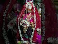 Kal Yellu Aaichi Paradi Bharli Puran Poli Cha Nevaidya Kela Bhakti Adhyatma Viralvideo