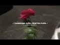 තනිකම හුරු දෙනෙත පුරා Slowed Reverb