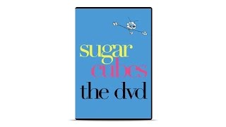 The Sugarcubes - Hit