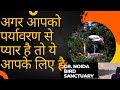 Bird Sanctuary Noida पक्षी अभयारण्य नोएडा RJ SWATANTRA NOIDA Vlo